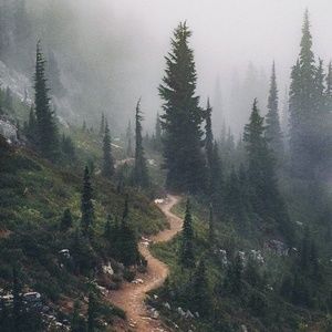 Meet your Posher, Lillian